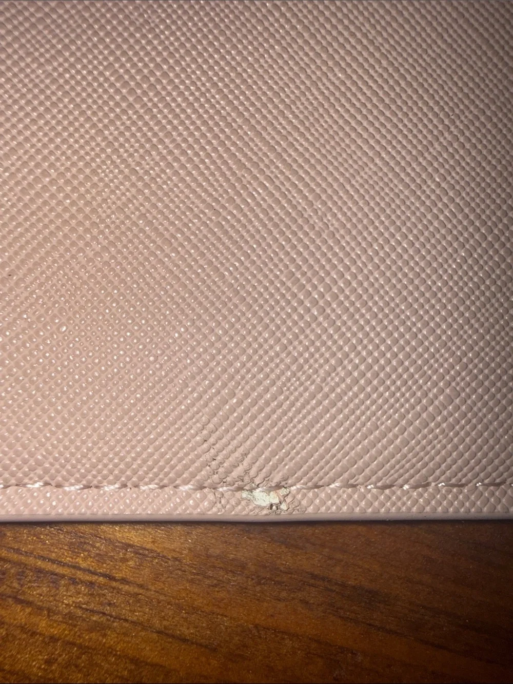 Shiraleah Blush Saffiano Zip Pouch with Gold Logo